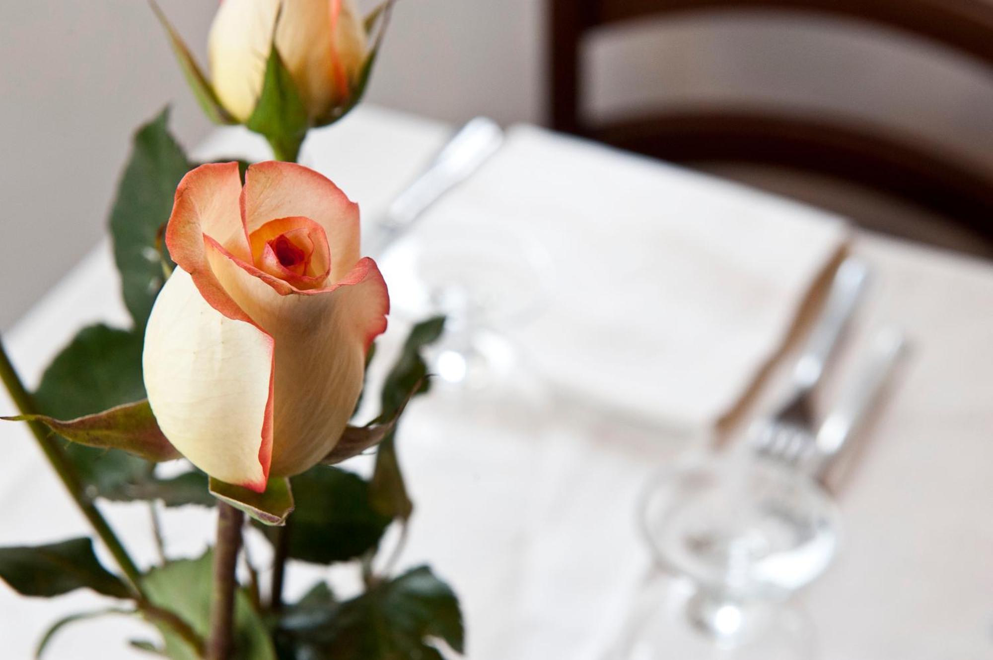 Hotel 4 Pini Roma Dış mekan fotoğraf